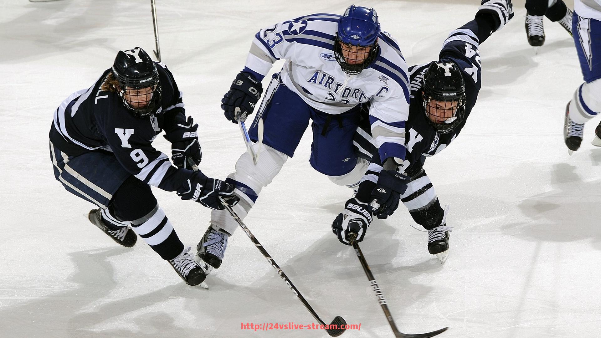 24VS体育直播-德甲球队分成机制图表详解